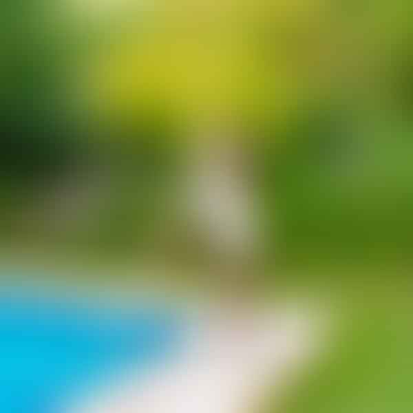 Decoding Salt Water Pool Maintenance: Tips and Tricks for a Healthy Pool