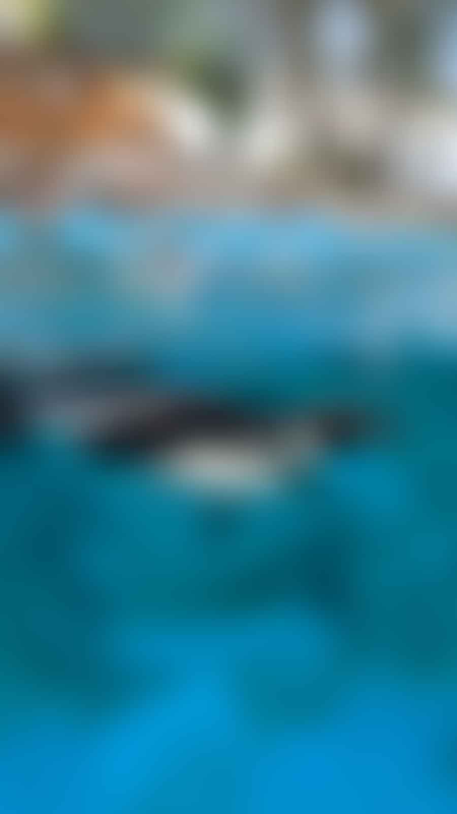 Pool equipment