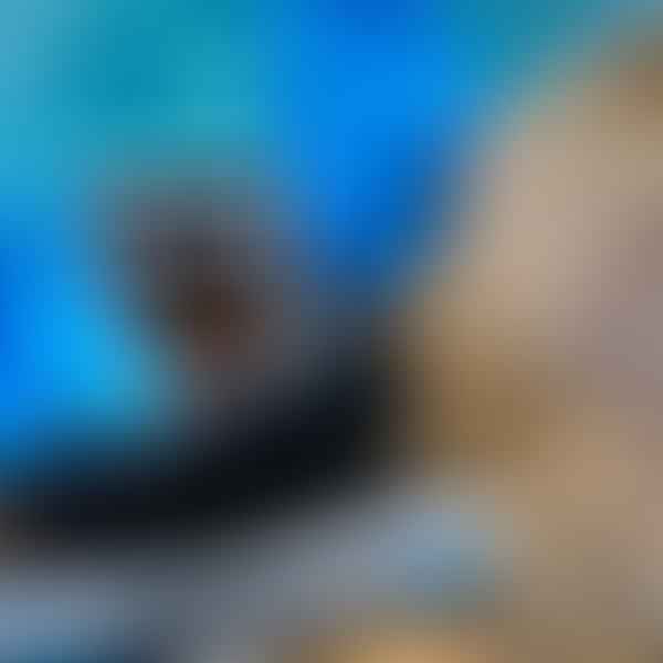 How to Choose the Right Automatic Pool Cleaner: A Review-Based Approach