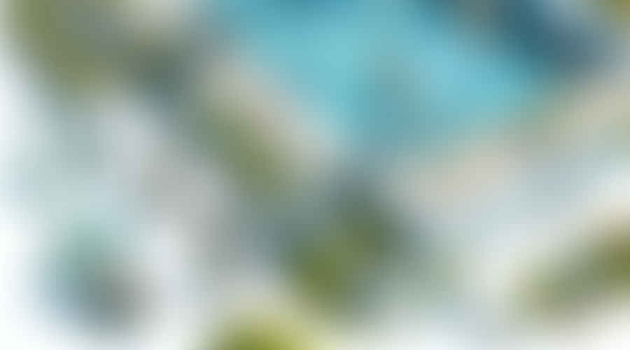 The Eco-Friendly Pool: Sustainable Practices for Pool Cleaning and Maintenance