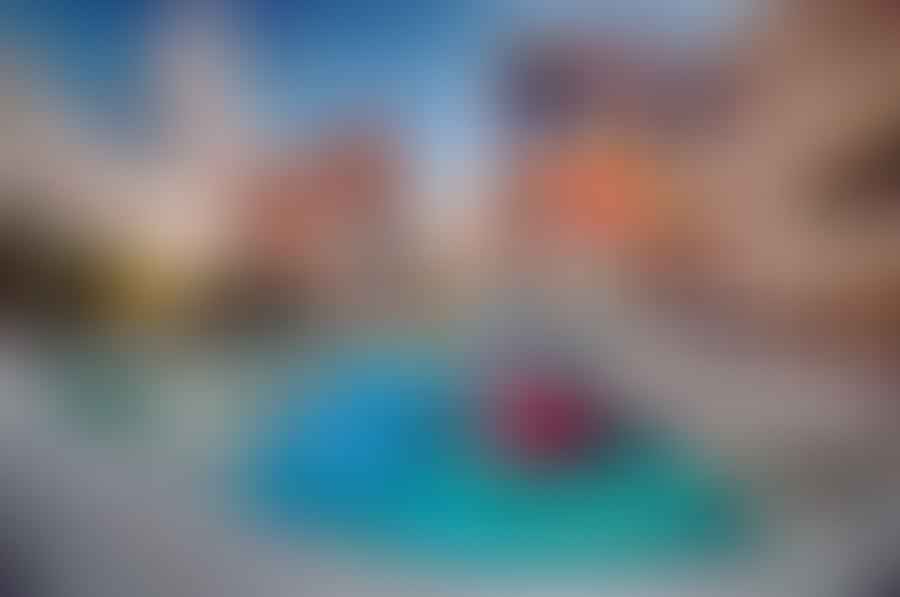 Pool net skimmer