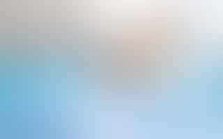 What are the essential qualifications and responsibilities of a pool inspector?